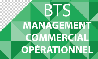 BTS MCO
